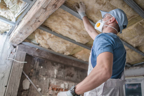 Best Specialized Insulation Services in Saltillo, MS