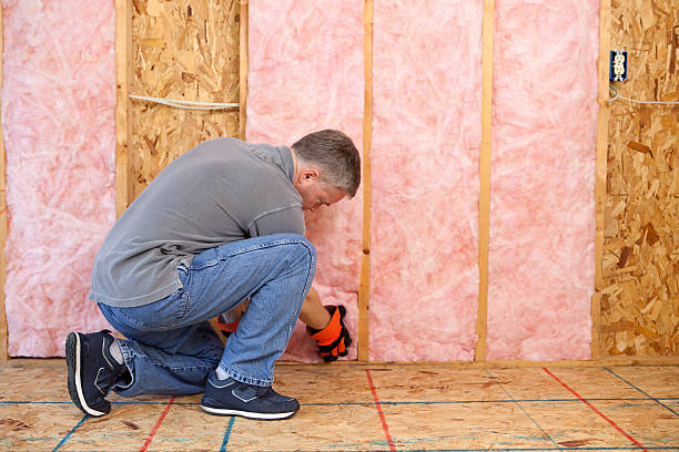 Best Residential Insulation in Saltillo, MS